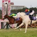“突然変異”で始まった白毛一族で初のＧ１制覇！世界を魅了したアイドルホースの歴史的快挙　阪神ＪＦ過去の名勝負