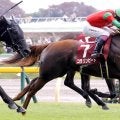 ２３年の京王杯２歳Ｓの覇者コラソンビートが現役引退　今後は繁殖牝馬に　ラピスラズリＳ１６着がラストラン