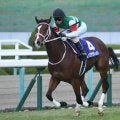 阪神タイガースの選手3人が競馬場に来場 阪神JFと「黄枠」＆「黒枠」の相性は？
