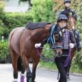 【注目馬動向・古馬】転厩したファウストラーゼンはアメリカＪＣＣでの復帰を視野