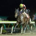 【岩手競馬】佐々木志音騎手が総合40点で栄冠…ゴールデンジョッキーズシリーズを制す