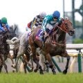 【香港C枠順確定】4連覇目指すロマンチックウォリアー＆マクドナルド騎手は2番ゲート、ベラジオオペラ＆横山和生騎手は5番ゲート