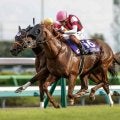 【香港スプリント枠順確定】ウインカーネリアン＆三浦皇成騎手は11番ゲート、サトノレーヴ＆ムーア騎手は4番ゲート