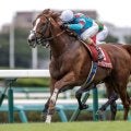 【香港ヴァーズ枠順確定】アーバンシック＆ルメール騎手は3番ゲート