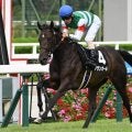 【阪神JF出走馬・騎手確定】アランカール＆北村友一騎手、マーゴットラヴミー＆武豊騎手など18頭