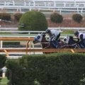メイショウタバル、有馬記念2週前追い切り速報/栗東トレセンニュース
