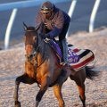 【有馬記念ファン投票】レガレイラが史上最多の６１万２７７１票でトップ！　牝馬初の連覇を狙う