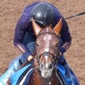 【有馬記念・２週前】ビザンチンドリームがシャープな動き　前走の凱旋門賞５着に健闘