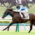 【注目馬動向】阪神ＪＦを抽選除外となったサンブライト　ひいらぎ賞、朝日杯ＦＳの両にらみ