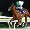 【カペラS出走馬・騎手確定】ヤマニンチェルキ＆岩田望来騎手、テーオーエルビス＆鮫島克駿騎手など16頭