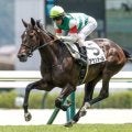 【阪神JF・調教後馬体重】アランカールは436kg、マーゴットラヴミーは438kg