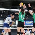 金蘭会高、Vリーグ女子・熊本に逆転負けも春高本大会へ刺激　馬場柚希主将「池条監督を胴上げしたい」／バレー