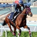 【香港マイル】エンブロイダリーは芝で軽快な動き　森一調教師「今回は一歩踏み込んだ調整ができています」