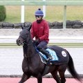 【注目馬動向】ミステリーウェイは引き続き松本大輝騎手とのコンビで有馬記念へ　来年２月のサウジにも予備登録