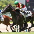 【エリカ賞】母は名牝クロノジェネシス ベレシートがデビュー2連勝めざす
