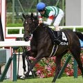 【阪神JF枠順確定】アランカールは2枠4番、マーゴットラヴミーは4枠7番
