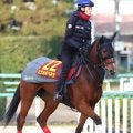 【阪神ＪＦ】アルテミスＳ２着のミツカネベネラは２枠３番　鈴木伸調教師「少し馬場が渋ってくれるといい」