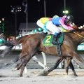 ダートＧ１級４勝のメイショウハリオが競走馬登録抹消　今後はイーストスタッドで種牡馬に