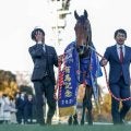 【有馬記念想定馬・騎手】レガレイラ、メイショウタバルなど21頭