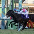 二刀流ドゥラエレーデが引退…種牡馬入りの予定