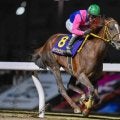 JpnI・4勝のメイショウハリオが登録抹消 今後はイーストスタッドで種牡馬入りへ