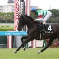 【競馬予想】ＧＩ阪神JFの行方も見える!?　識者設定の「２歳牝馬ランキング」上位２頭は？