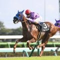 【競馬予想】阪神JFで注目したい血統は？　重賞勝ち馬ナシのレースでニュースターになりそうな２頭をピックアップ