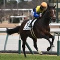 【中京5R新馬戦結果】ディアドラの全弟イベントホライゾンが快勝