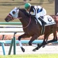 【中山５Ｒ・２歳新馬】ベンヴェヌータが理想的な立ち回りでＶ　石橋脩騎手「テンションはカギになると思います」