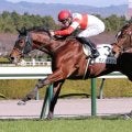 【阪神５Ｒ・２歳新馬】ダノンハドソンが一気のまくりで押し切る　Ｃデムーロ騎手「余裕があったと思います」