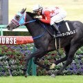 【中山９Ｒ・黒松賞】マーブルパレスが好時計で逃げ切り勝ち　石橋脩騎手「競馬が上手」