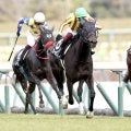 【中京９Ｒ・つわぶき賞】８番人気のプレセピオが首差で勝利　富田暁騎手「坂を上ってからももうひと踏ん張りした」