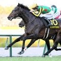 【阪神１１Ｒ・リゲルＳ】ランスオブカオスがゴール前で捉え切ってＶ　吉村誠之助騎手「もう一段頑張ってほしい」