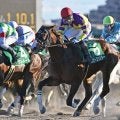 【カペラS予想】スピードや馬力に勝る牡馬、セン馬に良績集中！ 牝馬は前走の結果が好走の鍵を握る