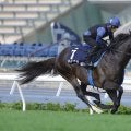 【香港国際競走】引退レースのソウルラッシュ、香港で有終の美なるか…JRA勢が自信の最終調整