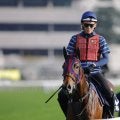 【香港マイル】二冠牝馬エンブロイダリーは10番ゲートから