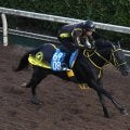 日曜中山競馬場の注目激走馬…中山１１Ｒカペラステークス・Ｇ３