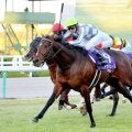 “競馬界の七不思議”にピリオド打つ劇的勝利！「マキバオーみたい」で愛されたドウデュースの初Ｇ１…朝日杯ＦＳ過去の名勝負