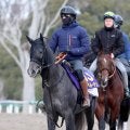 【朝日杯ＦＳ】母がＧ１馬の良血スペルーチェ　宮田調教師「楽しみをもって挑戦」