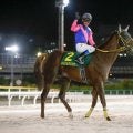 【先週のJRA抹消馬】JpnI・4勝のメイショウハリオ、22年ホープフルS覇者ドゥラエレーデなど