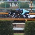 最終追い切りの動きにも注目 ダノンテムズが日曜阪神で初陣/関西馬メイクデビュー情報