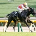 【ターコイズS展望】牝馬限定のハンデ戦をジューンオレンジが制する