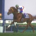 外国産馬の隆盛期 “栗毛の怪物”グラスワンダーがレコードで制した97年朝日杯3歳S