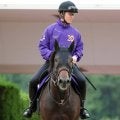 【注目馬動向】競馬でもショウヘイが海を渡る？　復帰戦は川田将雅騎手でアメリカＪＣＣに決定　春の大目標は国内外の２択