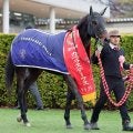 【注目馬動向】カペラＳ圧勝のテーオーエルビスはリヤドダートスプリントへ　同レース２着のヤマニンチェルキも参戦