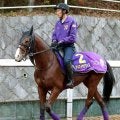 【朝日杯ＦＳ】アドマイヤクワッズは無傷の３連勝で頂点狙う　友道調教師が感じるセールスポイントとは