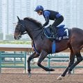 香港マイル２着で引退のソウルラッシュはブリーダーズＳＳで種牡馬入り　池江調教師「一度は頭ぐらい出ていたが…」