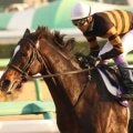 直近の日高生産馬による勝利 キタサンブラックが制した17年の有馬記念を回想