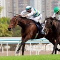 「日高のエースに！」「魂の走り次の世代へ」引退、種牡馬入り７歳馬に惜別エール　ソウルラッシュはブリーダーズＳＳへ