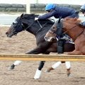 【有馬記念１週前】ミュージアムマイルが１番時計で絶好の動き　クリスチャン・デムーロ騎手「この時計でも余裕があったよ」